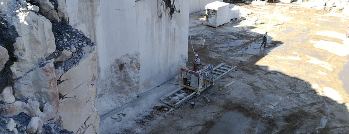 Rail&nbsp;Type&nbsp;Chain&nbsp;Saw&nbsp;case?-?Bosnia?and?Herzegovina